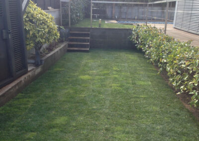 Restauració de gespa en mal estat